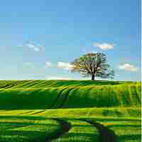 node快‍速‌入‍门​